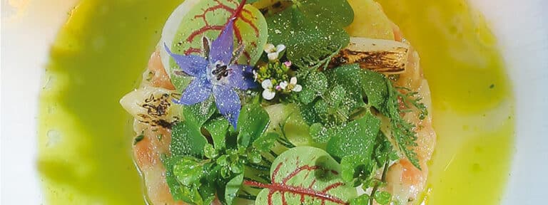 Junge bayerische Küche - kommunikation.pur