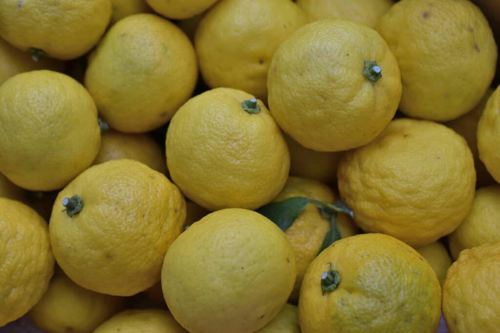 Yuzu: gelbe Zitrusfrüchte