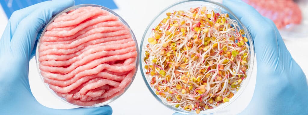 In-vitro-Fleisch und Sojasprossen