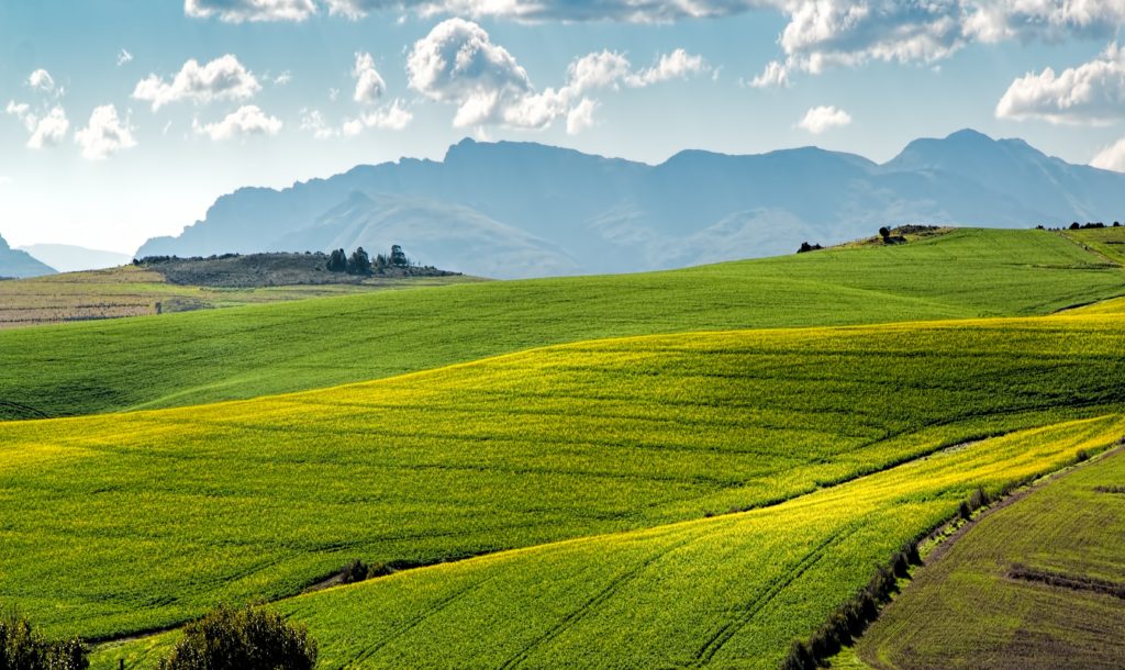 Foodtrend: Regenerative Food