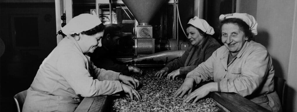 Historischer Einblick: Mitarbeiterinnen von Salus verlesen Tee von Hand in der Produktion.